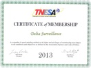TNESA-2013 for Delta Surveillance